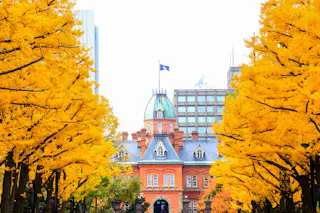 A historic red-brick building with a green dome is framed by rows of tall trees with vibrant yellow autumn leaves, set against a backdrop of modern city buildings.