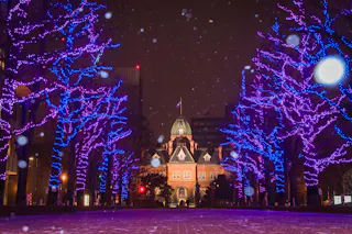 Snow falls at night in front of a historic brick building, with trees on both sides wrapped in vibrant purple and blue lights, creating a festive and enchanting atmosphere.