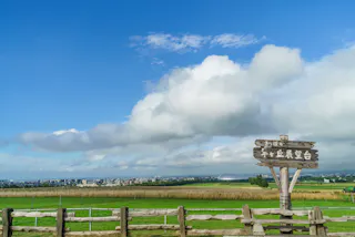 A wooden fence and sign stand in front of green fields under a bright blue sky with scattered clouds; a distant cityscape is visible on the horizon.