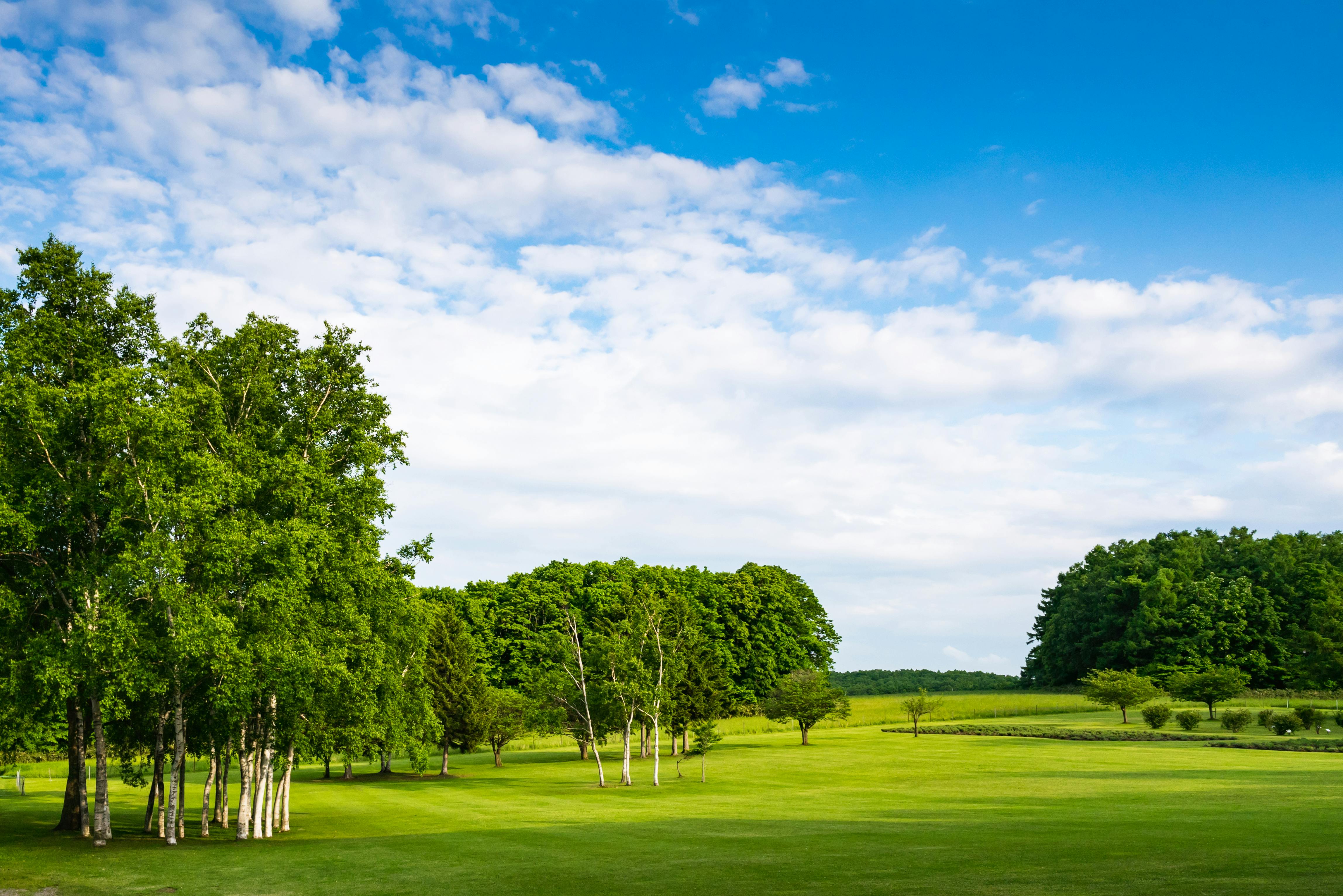 A wide, green grassy field with clusters of trees under a blue sky scattered with white clouds. The landscape is bright and peaceful, showcasing lush foliage and open space.