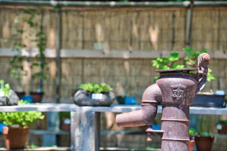 A rusty old water pump stands in the foreground with potted plants and a bamboo fence blurred in the background, creating a rustic garden scene.
