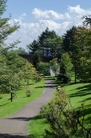 A paved walkway winds through a lush green park with trees and bushes on both sides, leading toward a building partly hidden by tall pine trees under a blue sky with scattered clouds.