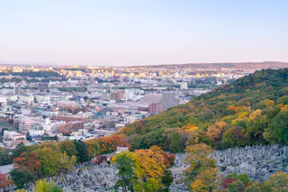 View of a city with many buildings, bordered by a large, colorful forested hillside and a cemetery in the foreground, under a clear sky at sunset.