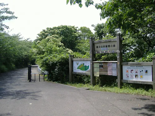 Yokohama Nature Sanctuary