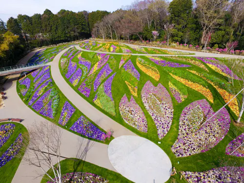 Aerial view of a large, colorful flower garden with swirling patterns of purple, yellow, orange, and pink flowers, separated by curved green grass and walking paths, surrounded by trees and greenery.