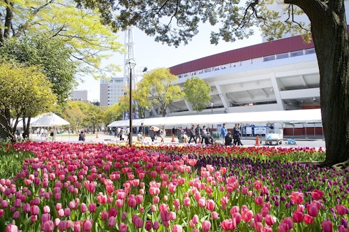 Yokohama Park