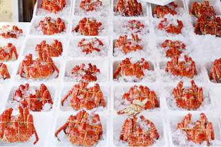 Dozens of bright red crabs are tied with string and displayed in white trays on a bed of crushed ice at a seafood market.