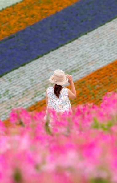 Shikisai No Oka Hill Of Seasonal Colors Trip To Japan shikisai-no-oka-hill-of-seasonal-colors-trip-to-japan