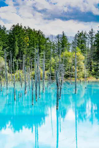 Bright turquoise water with bare tree trunks protruding from the surface, surrounded by dense green forest under a partly cloudy sky. The vivid water reflects the trees and sky above.