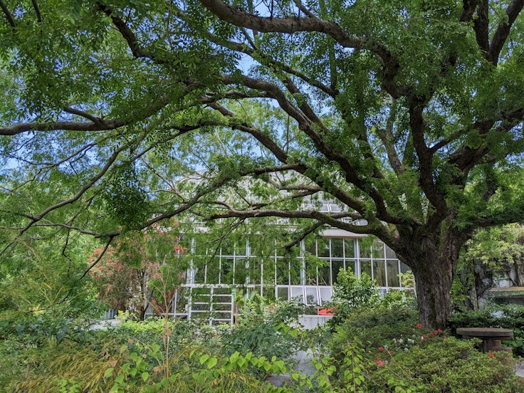 The Kochi Prefectural Makino Botanical Garden
