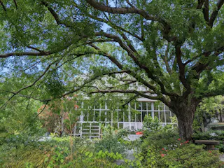 The Kochi Prefectural Makino Botanical Garden
