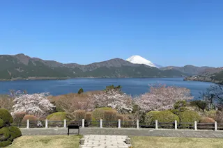 A scenic view of a lake surrounded by mountains, with cherry blossom trees in the foreground and snow-capped Mount Fuji in the background under a clear blue sky.