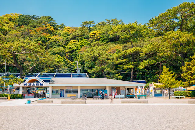 A small aquarium building with a blue sign stands in front of a forested hillside, with a gravel area and scattered visitors in the foreground under a clear, sunny sky.