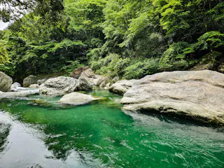 Clear green river water flows around large rocks and boulders, surrounded by lush green trees and dense forest, creating a peaceful natural scene.