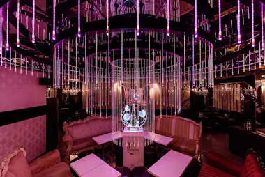 Host Club Wine Experience