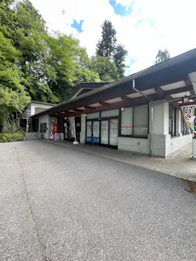 Nikko Momijiza