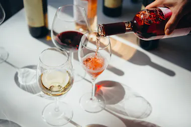 Wine Experience