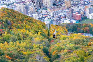 A cable car travels over a forested hillside with autumn foliage, heading towards a city with tall buildings in the background.