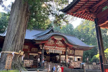 Mt Fuji Customized Tour