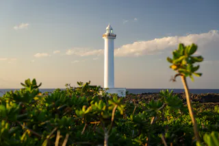 A tall white lighthouse stands near the rocky shore, surrounded by green plants in the foreground, under a partly cloudy sky at sunset.