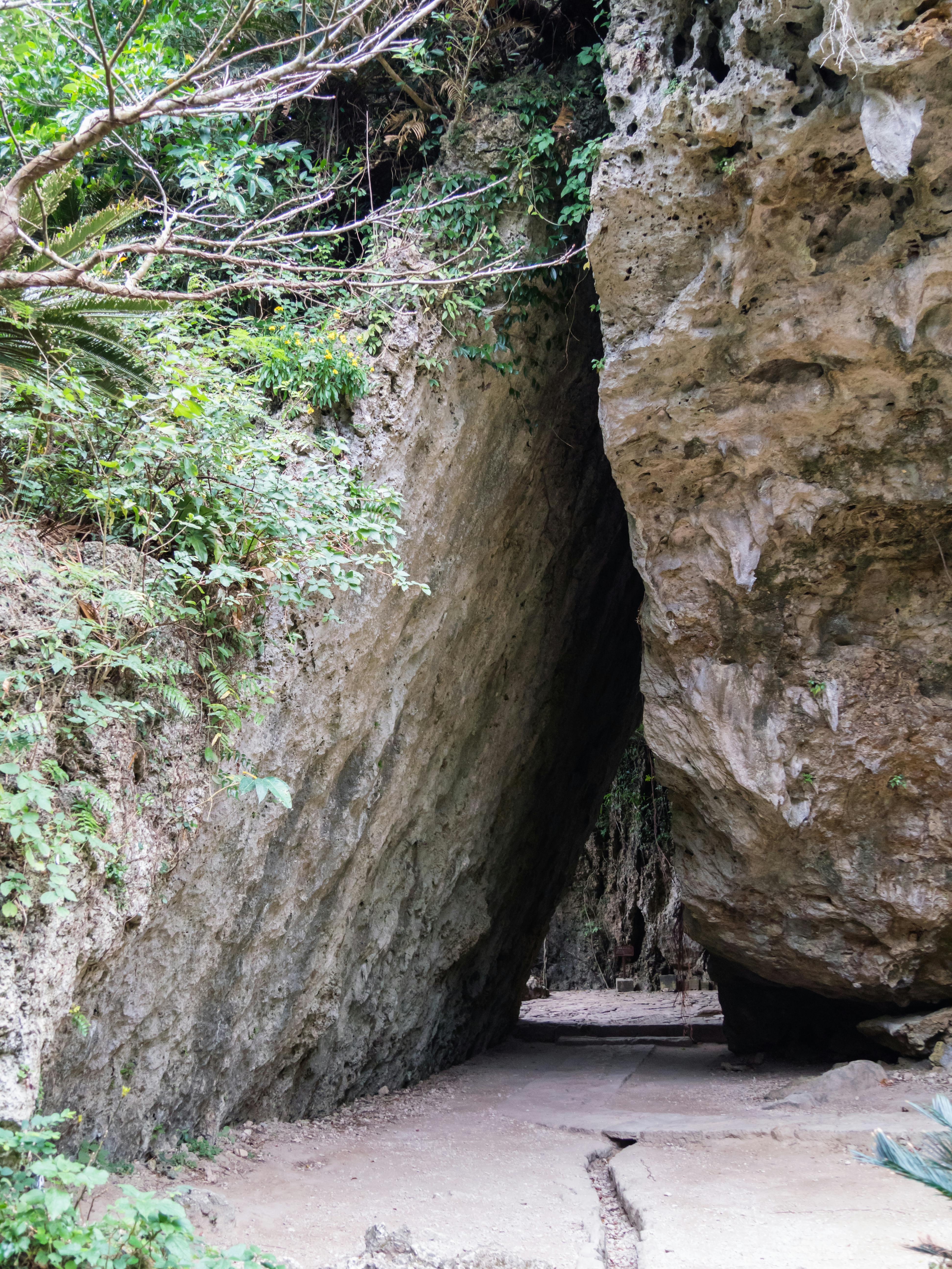 A narrow path passes between two large, jagged rock formations covered with green foliage, with sunlight filtering through the trees above.