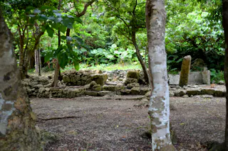 Ancient stone ruins surrounded by lush green trees and plants in a forested area, with sunlight filtering through the foliage.