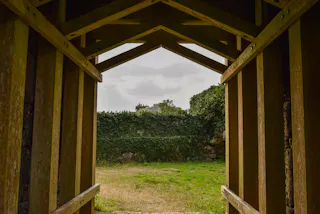 View from inside a wooden structure looking out at a grassy area bordered by a stone wall covered in green ivy, with trees and a cloudy sky in the background.