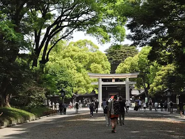 Private Tokyo Tour by Premium Car