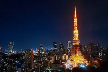 Tokyo Private Tour by Luxury Vehicle