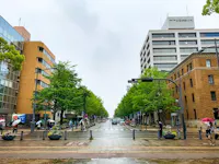 A wide street lined with green trees and modern buildings on a rainy day, with people walking under umbrellas and cars parked along the road. The sky is gray and overcast.