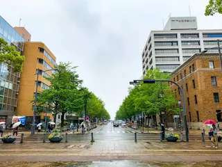 A wide street lined with green trees and modern buildings on a rainy day, with people walking under umbrellas and cars parked along the road. The sky is gray and overcast.