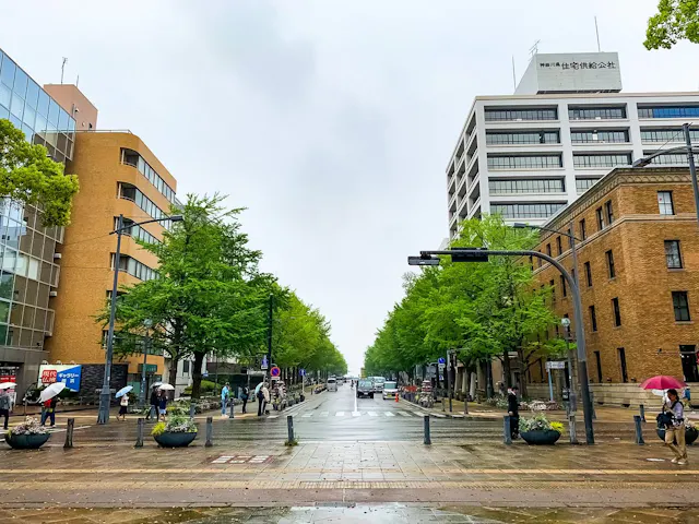 A wide street lined with green trees and modern buildings on a rainy day, with people walking under umbrellas and cars parked along the road. The sky is gray and overcast.