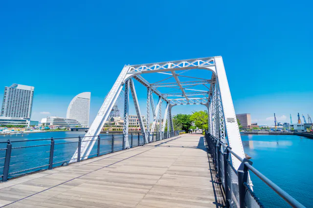 A white steel pedestrian bridge crosses over calm water, with modern buildings and skyscrapers in the background under a clear blue sky.