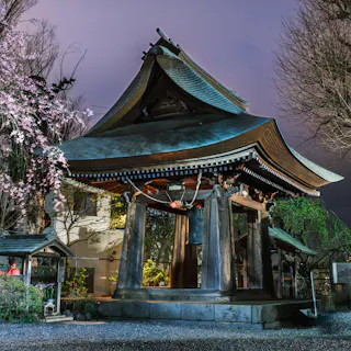 A traditional Japanese temple bell tower with a curved roof, surrounded by blooming cherry blossoms and trees, illuminated at night.