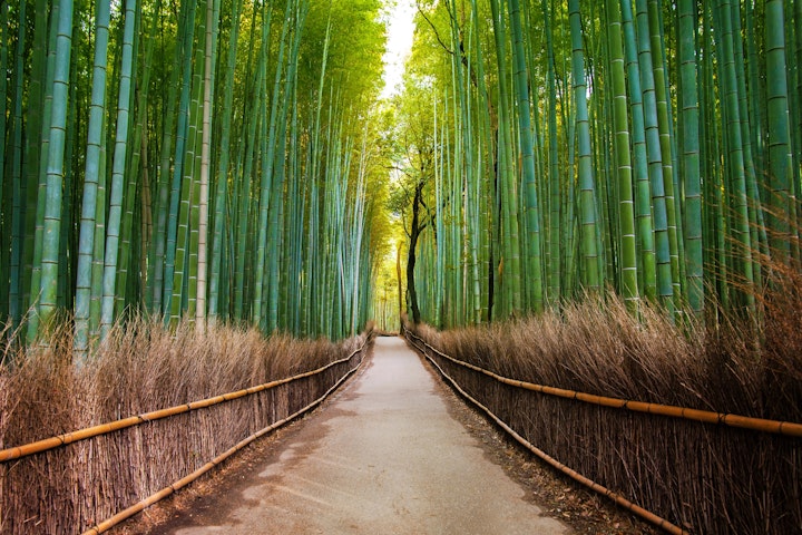 Arashiyama