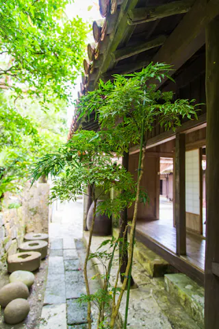 A lush green plant grows beside a traditional wooden Japanese house, with stone tiles and round stone objects lining the walkway, under a leafy tree and a rustic tiled roof.
