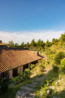 A stone pathway leads through lush greenery to a traditional house with a tiled roof under a clear blue sky, surrounded by trees and plants.
