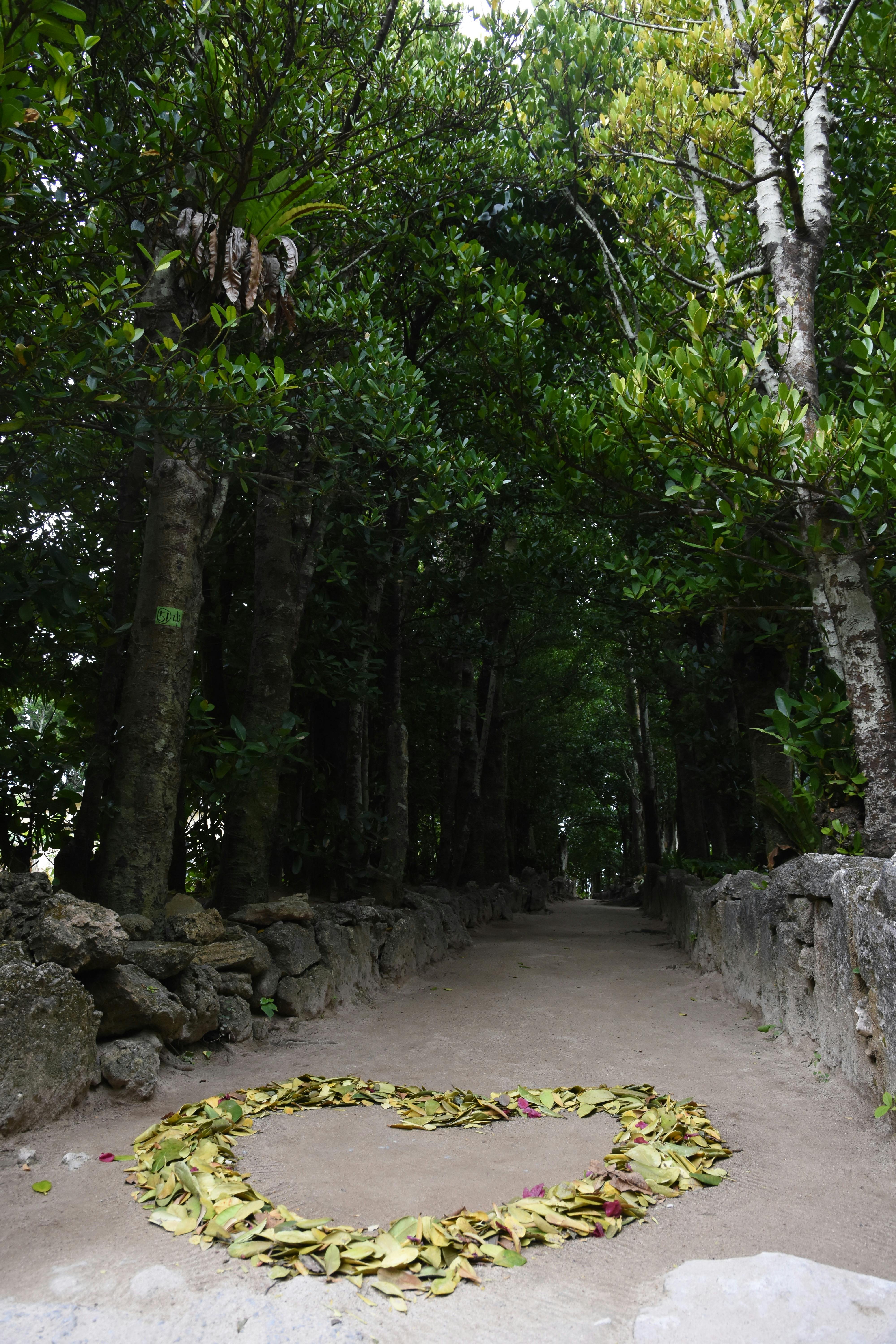 A heart shape made of yellow leaves is arranged on a sandy path surrounded by dense green trees and stone walls.