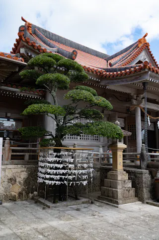 A neatly pruned tree stands in front of a traditional Japanese building with a tiled roof. White paper fortunes (omikuji) are tied to strings around the tree, and a stone lantern is nearby. The scene is outdoors, under a partly cloudy sky.