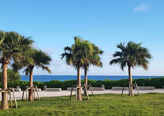 Umikaji Terrace Senagajima