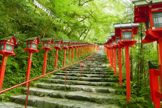 A stone stairway lined with traditional red lanterns leads upward through lush green trees in a serene Japanese garden or shrine setting.