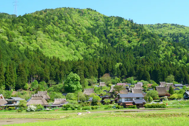 A traditional Japanese village with thatched-roof houses sits at the base of a lush, green forested mountain under a clear blue sky. Grassy fields fill the foreground.