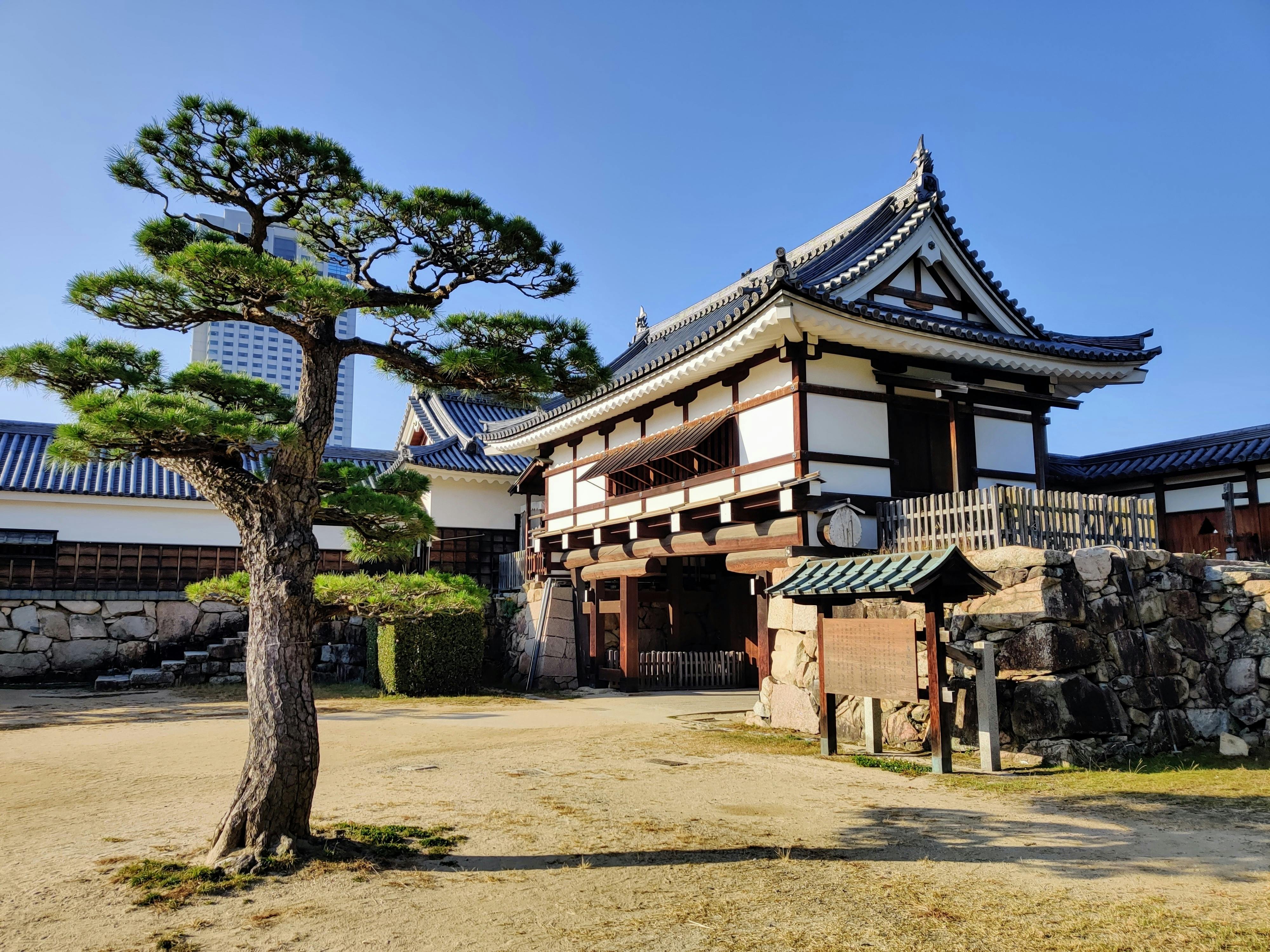 A traditional Japanese building with white walls and dark wooden beams stands next to a manicured pine tree, surrounded by stone walls and a sandy courtyard under a clear blue sky.