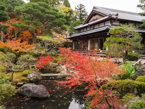 Yoshikien Garden