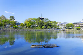A calm pond reflects trees, buildings, and a five-story pagoda under a clear blue sky, with greenery and traditional architecture along the shoreline.