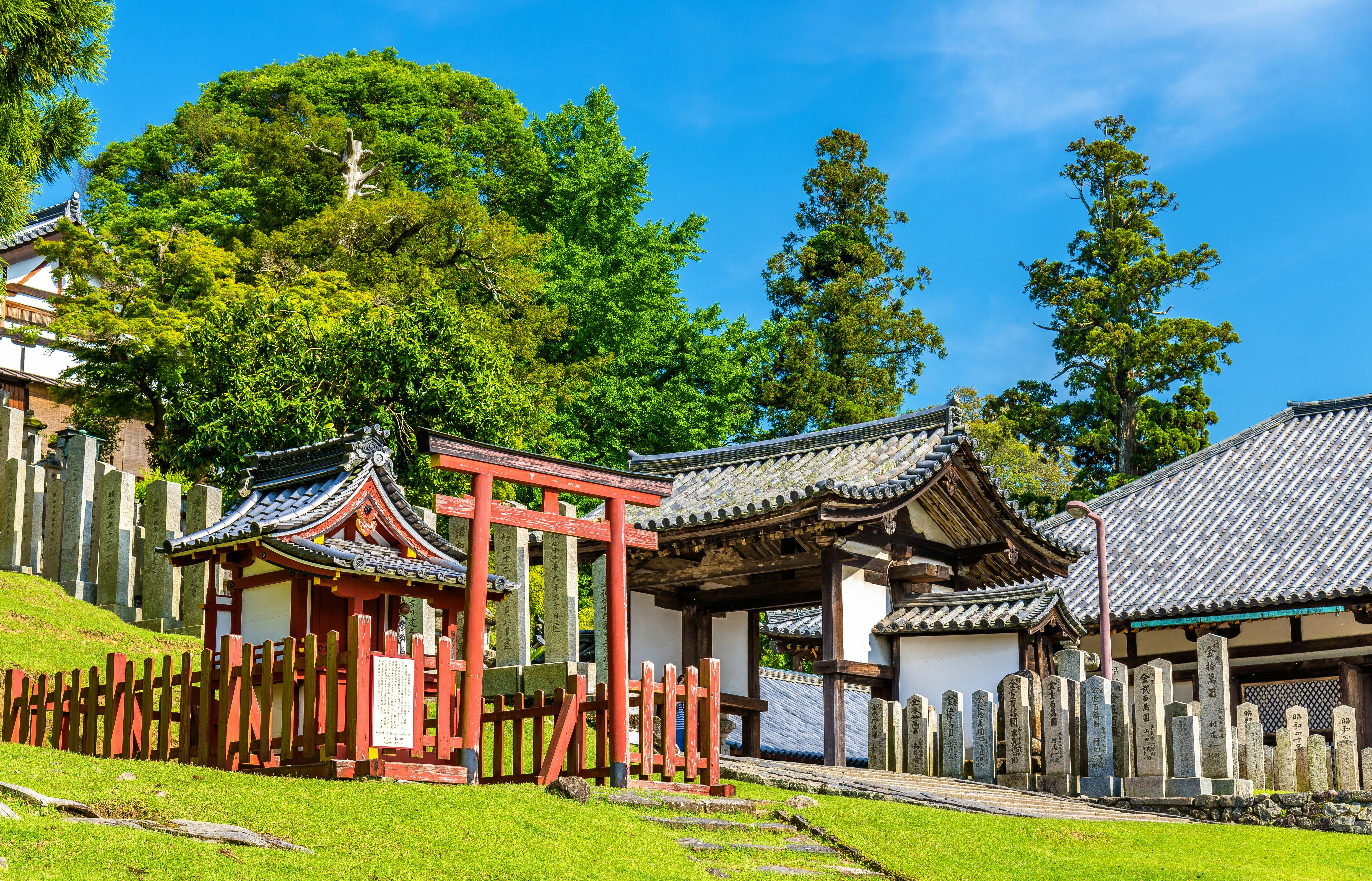 Traditional Japanese temple entrance with a red torii gate, tiled-roof buildings, stone markers, and lush green trees under a clear blue sky. Steps and grass lead up to the gate, creating a peaceful scene.