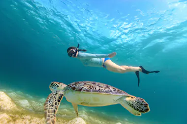 Snorkeling with Sea Turtle