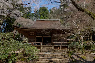 A traditional Japanese wooden temple with a thatched roof, surrounded by trees with bare branches and some cherry blossoms, set against a backdrop of lush greenery and a clear blue sky. Stone steps lead up to the entrance.