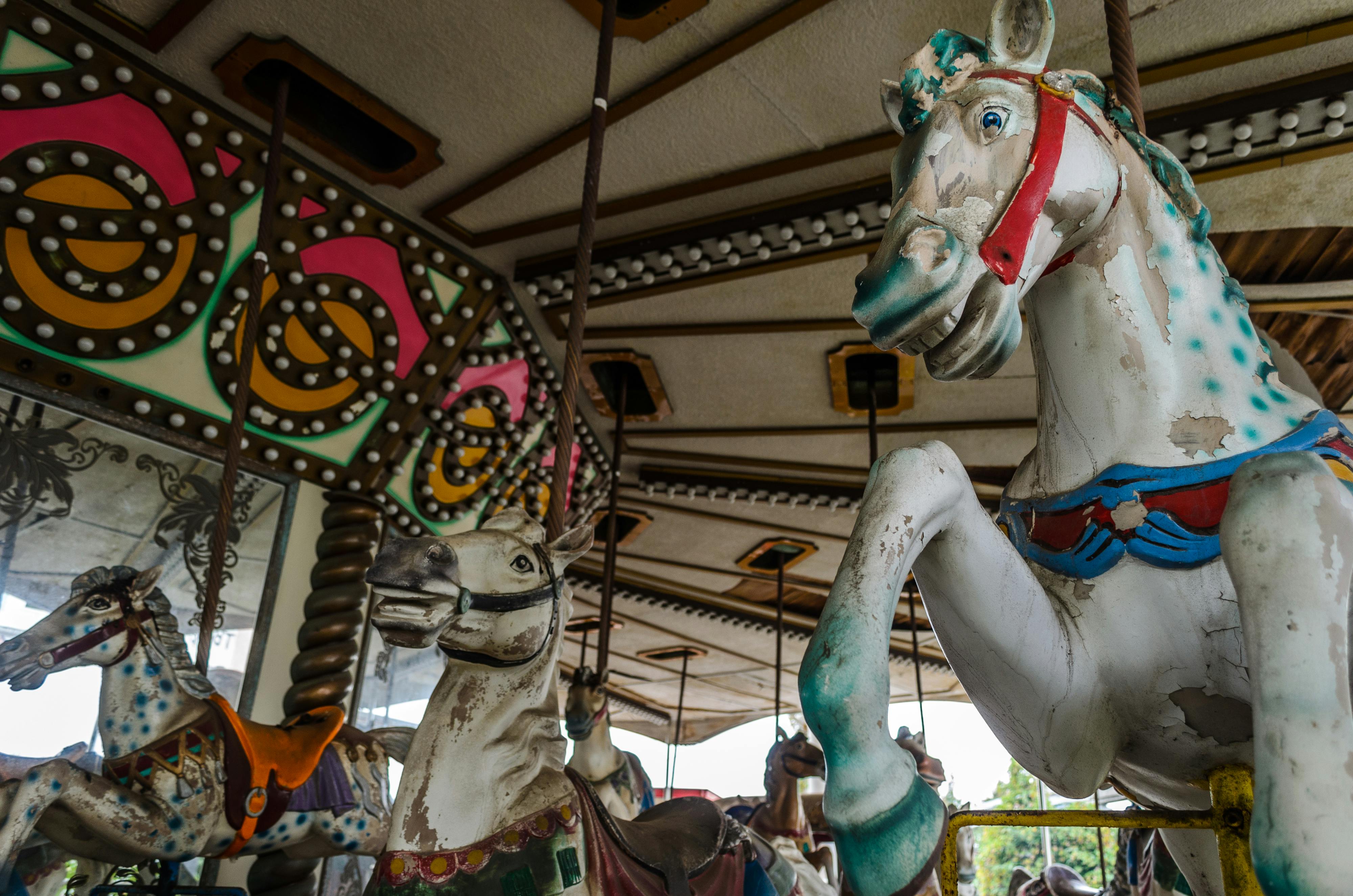 Close-up of vintage carousel horses with colorful, worn paint under a decorated canopy. The foreground features a white horse with blue spots and red bridle, and other horses are visible in the background.