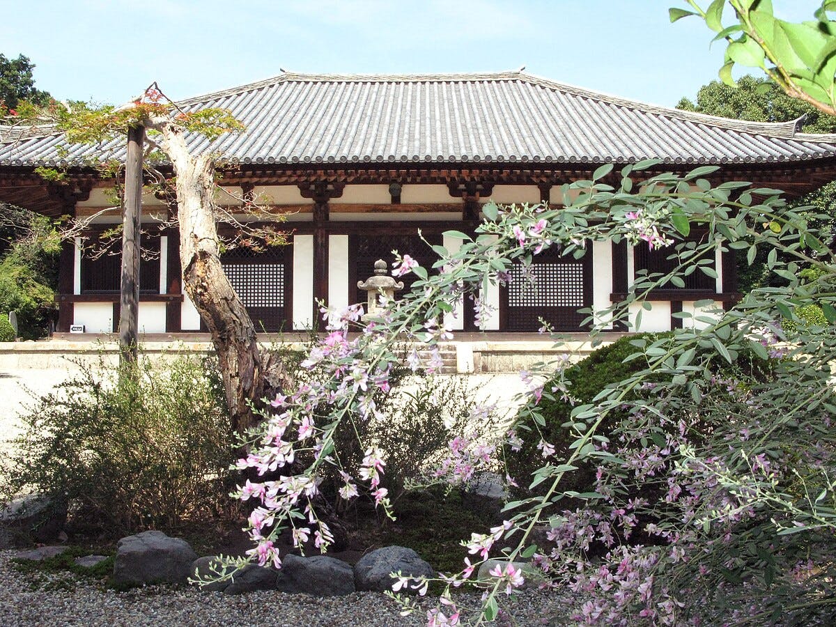 A traditional Japanese temple with a tiled roof is seen behind flowering branches and a small garden with rocks and greenery. The scene is peaceful and sunlit.